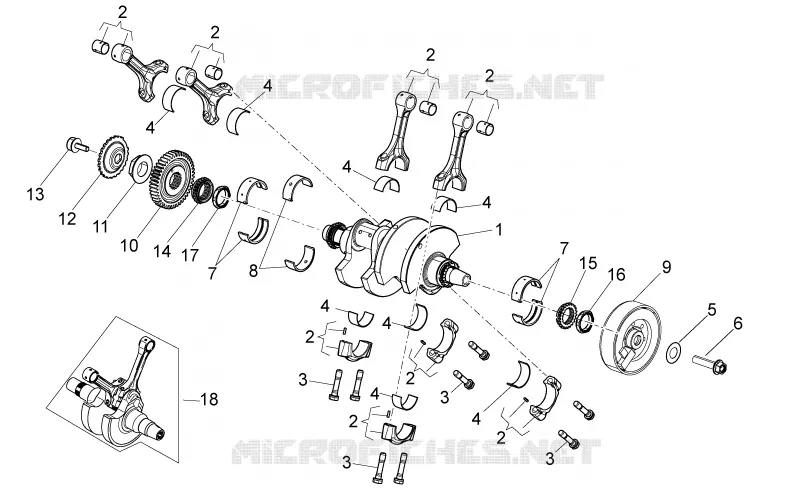 Drive shaft