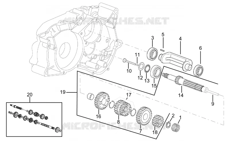 Primary gear shaft