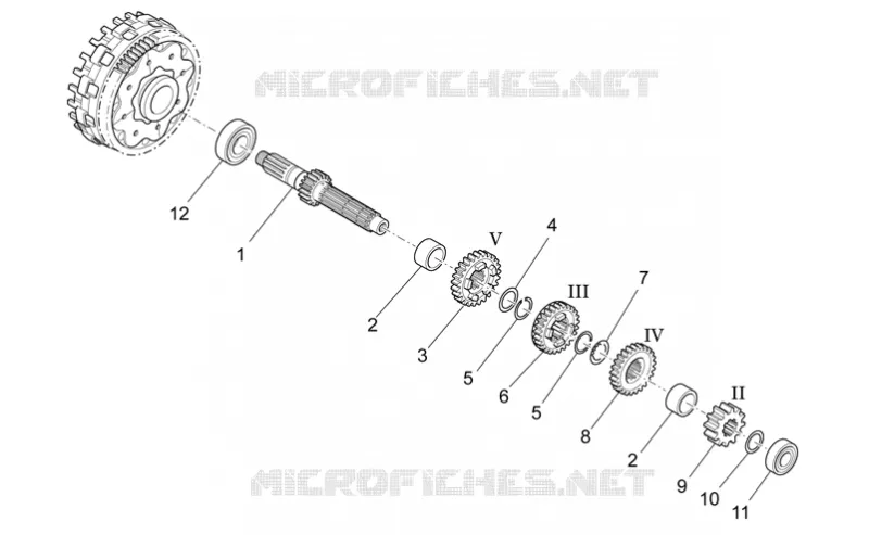 Primary gear shaft
