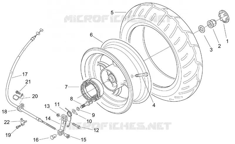 Rear wheel - drum brake