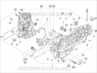 Carter motor