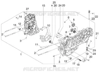 Carter motor
