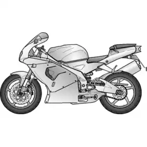 RSV 1000